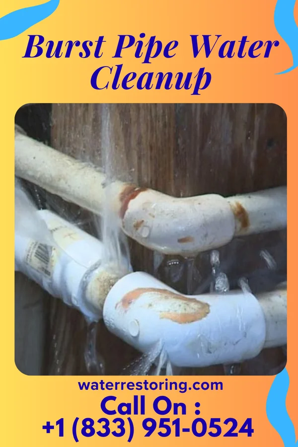 Burst Pipe Water Cleanup in Milton Center, OH