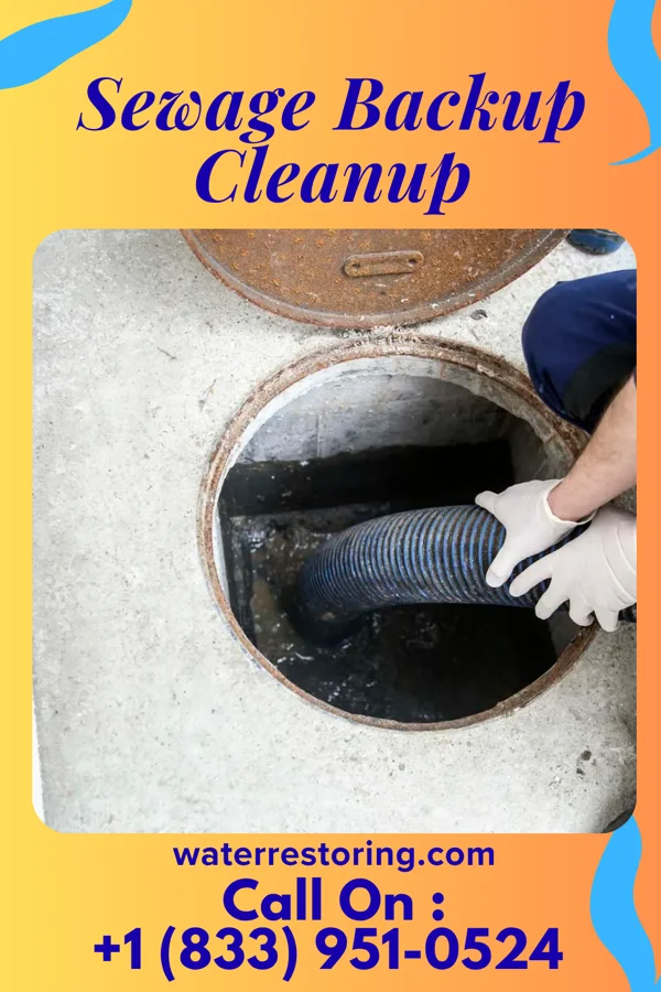 Sewage Backup Cleanup in Milton Center, OH