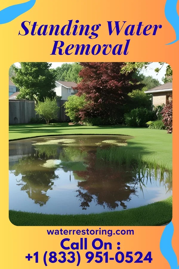 Standing Water Removal in Milton Center, OH